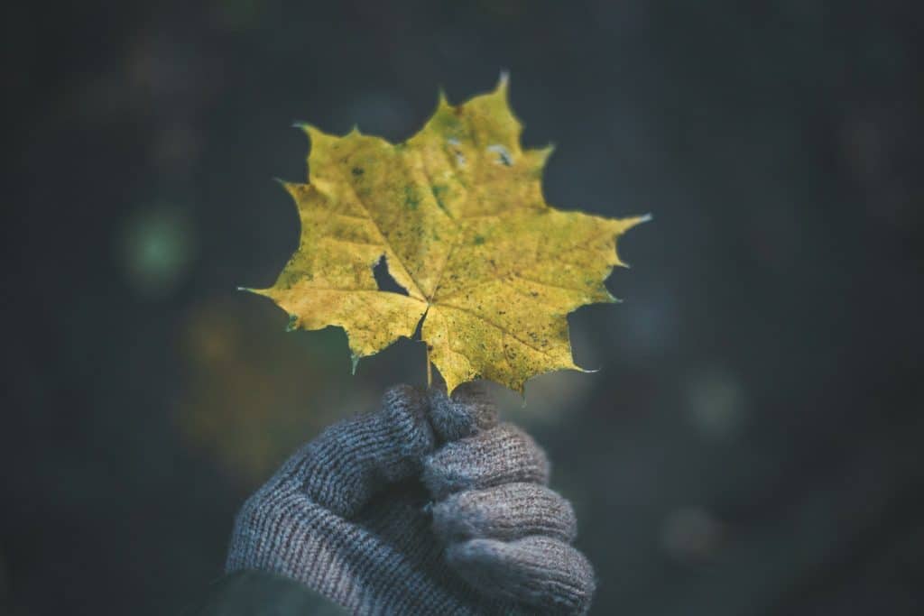 grounding gloves