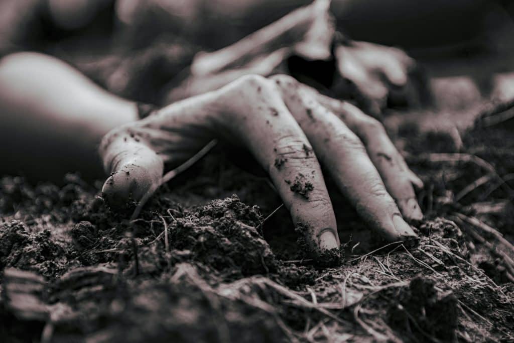 A hand touching the soil, symbolizing a deep connection to the earth and the grounding practice.